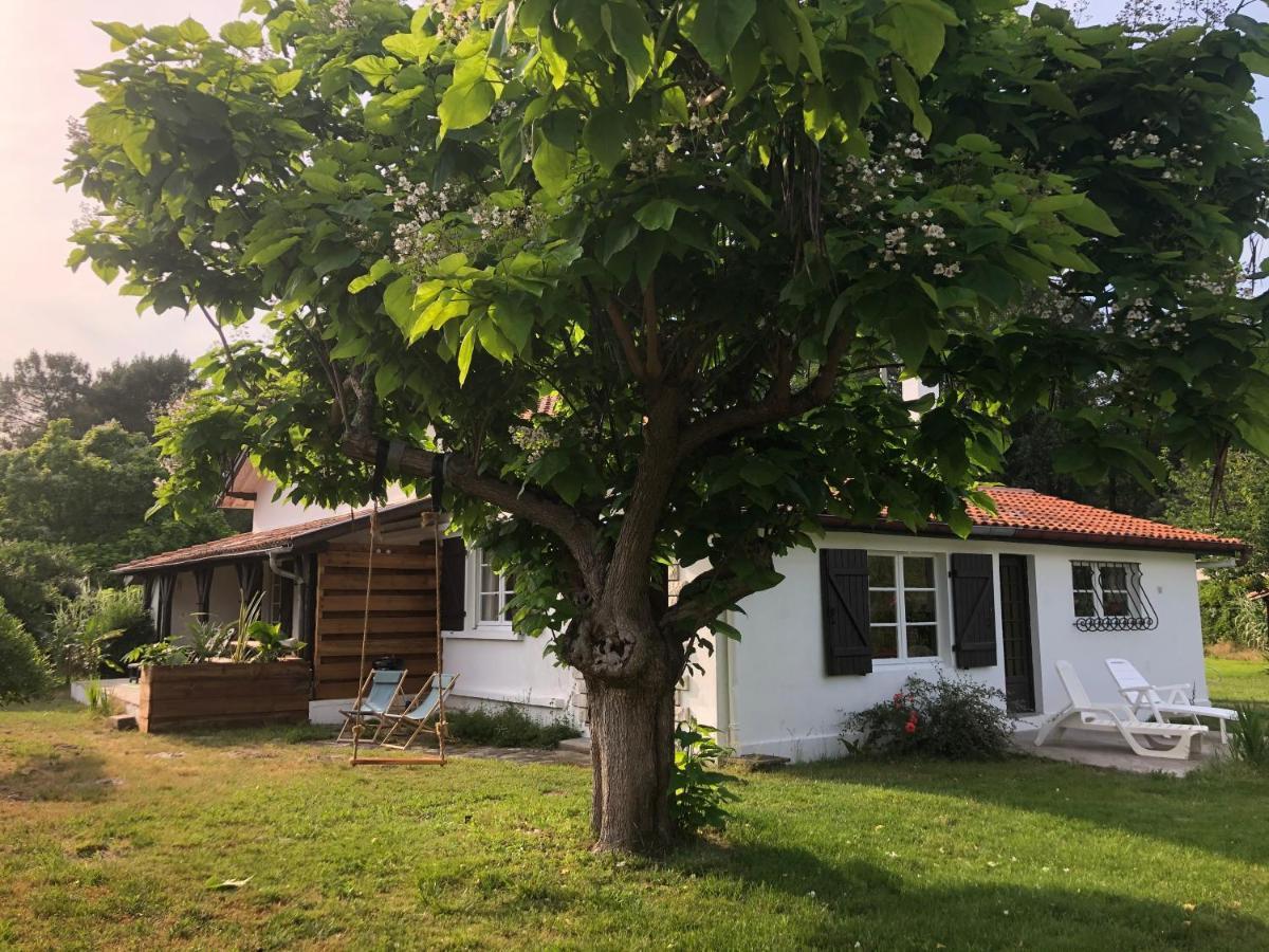 Villa Orcas Léon Zewnętrze zdjęcie